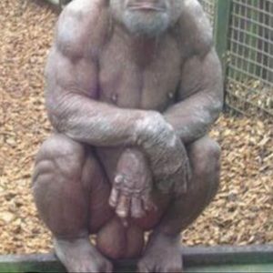 Meet your Posher, Jayson